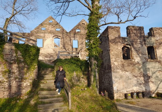 Świny