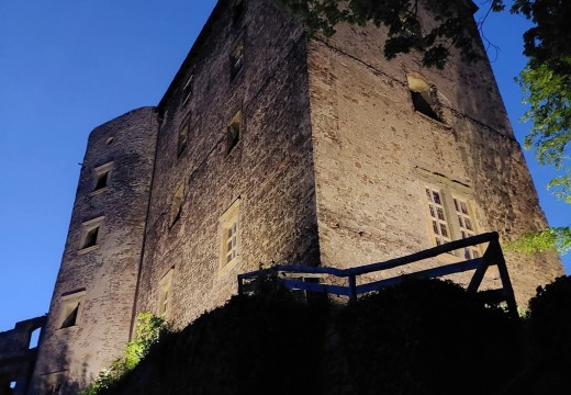 Świny